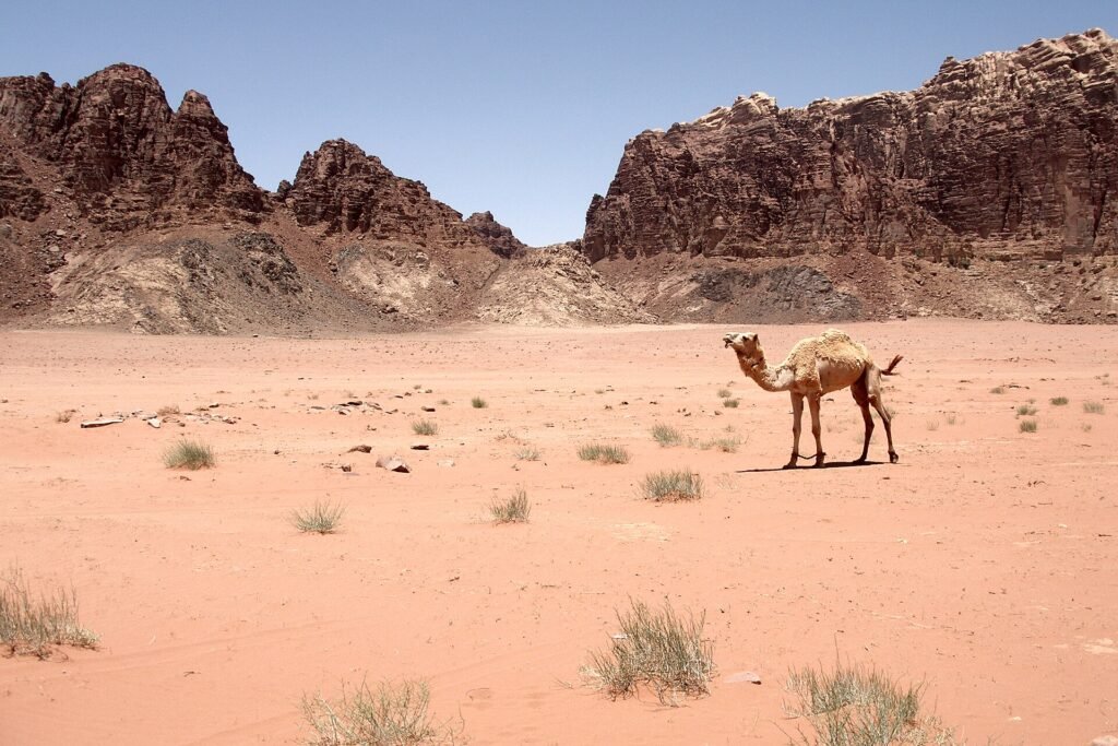 Red sand and sandstone cliffs of Wadi Rum desert under a clear sky