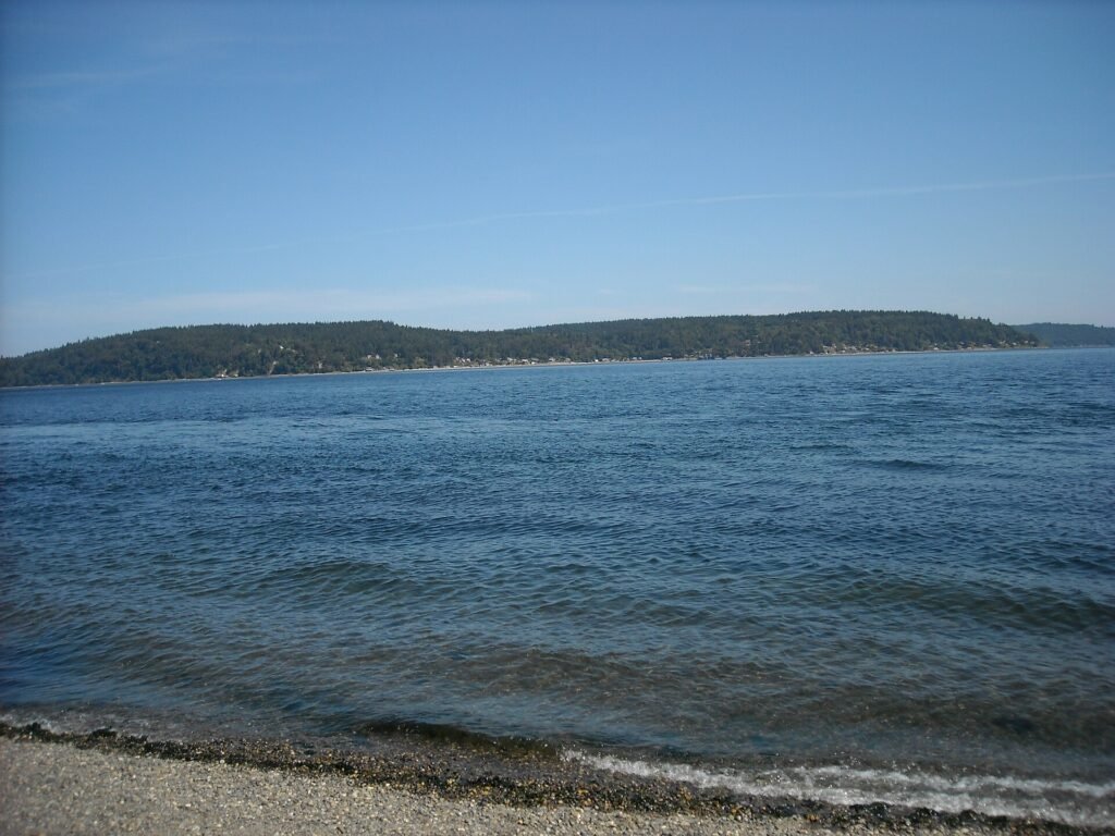 Driftwood and calm water at Owen Beach in Point Defiance Park, Tacoma