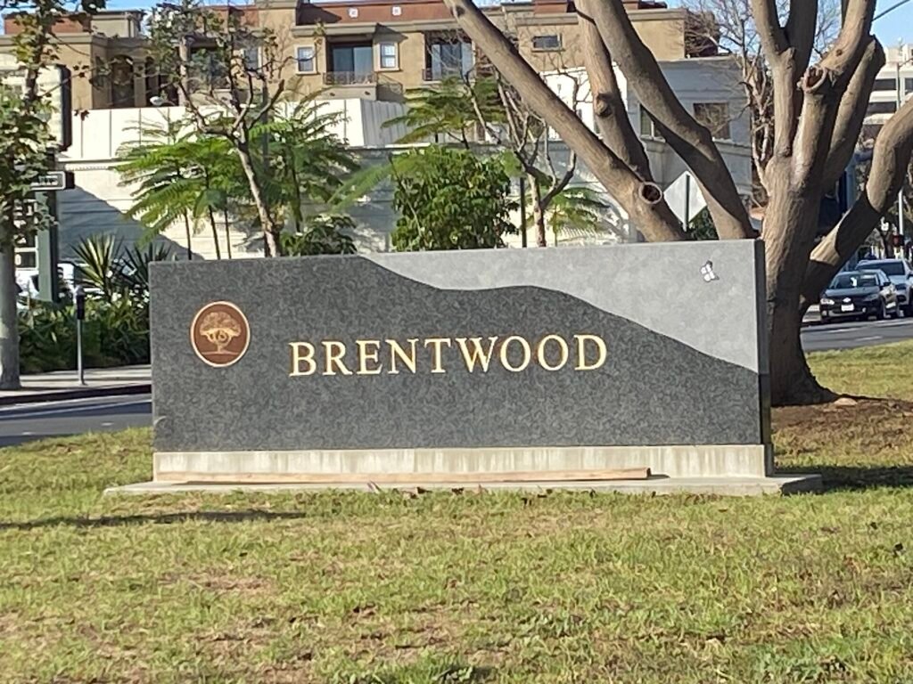 Coral trees lining the median of San Vicente Boulevard in Brentwood