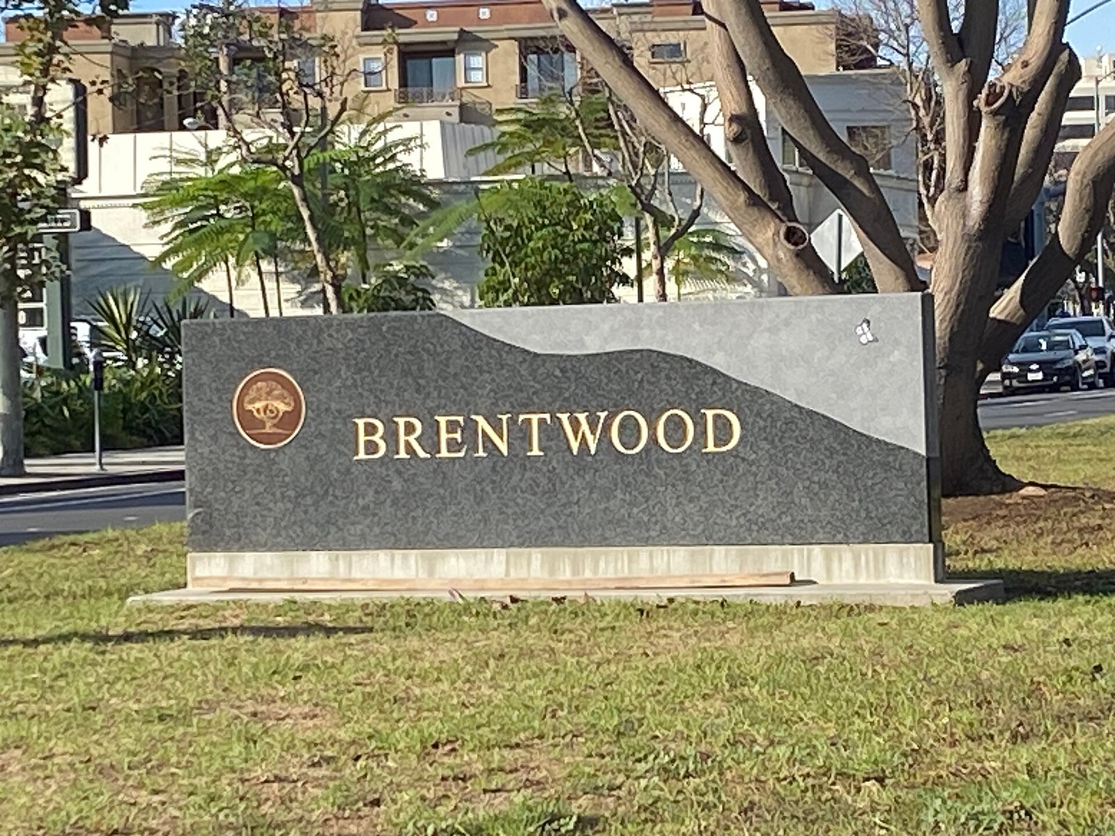 Coral trees lining the median of San Vicente Boulevard in Brentwood