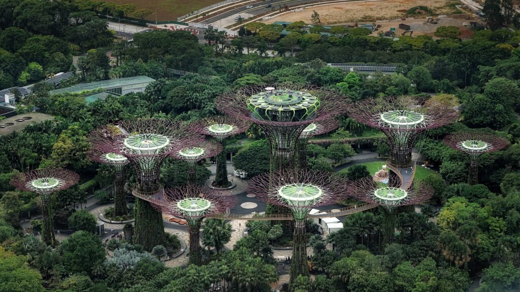 The Supertree Grove at Gardens by the Bay with the OCBC Skyway walkway